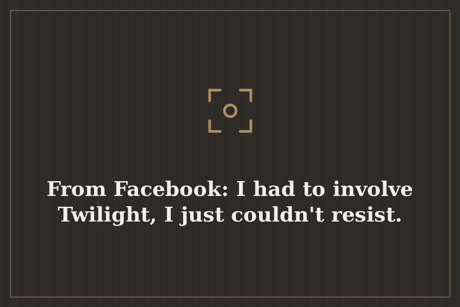 From Facebook: I had to involve Twilight, I just couldn't resist. — cover