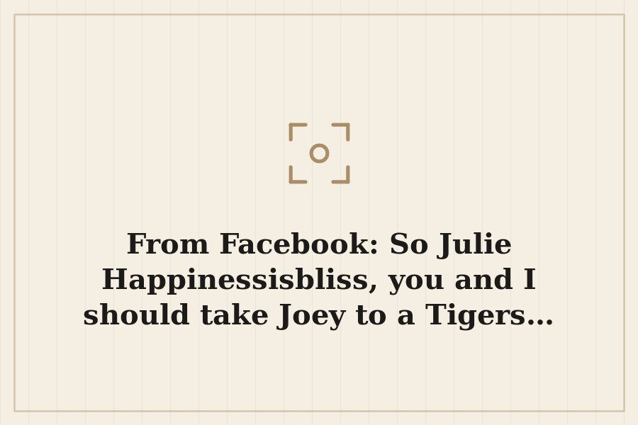 From Facebook: So Julie Happinessisbliss, you and I should take Joey to a Tigers… — cover