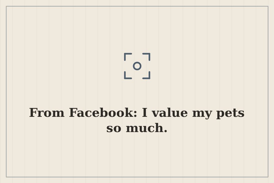 From Facebook: I value my pets so much. — cover