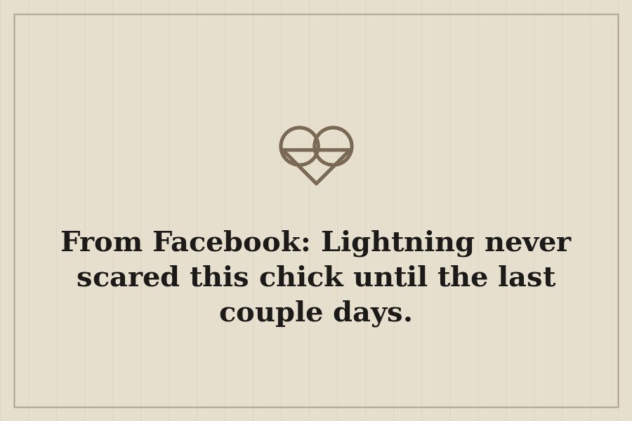 From Facebook: Lightning never scared this chick until the last couple days. — cover