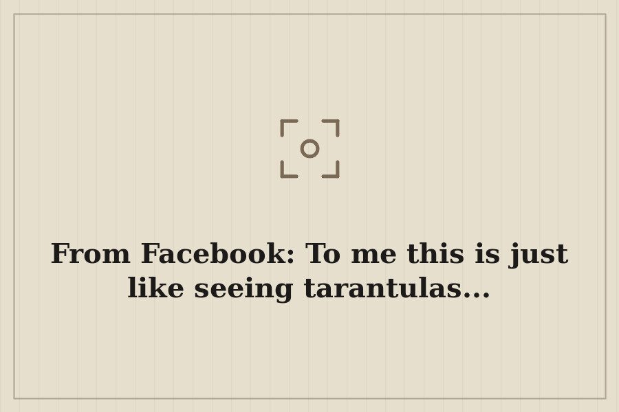 From Facebook: To me this is just like seeing tarantulas... — cover