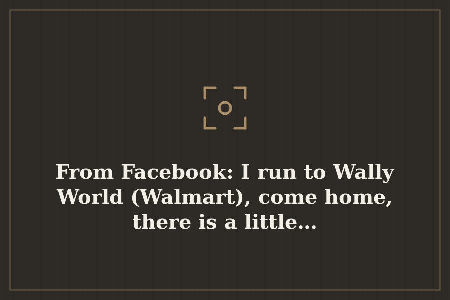 From Facebook: I run to Wally World (Walmart), come home, there is a little… — cover