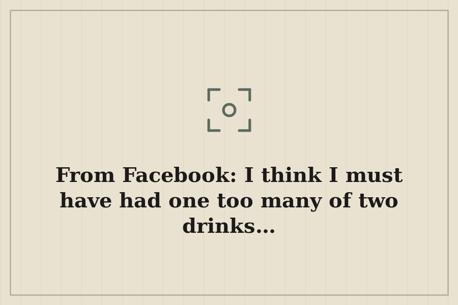 From Facebook: I think I must have had one too many of two drinks… — cover