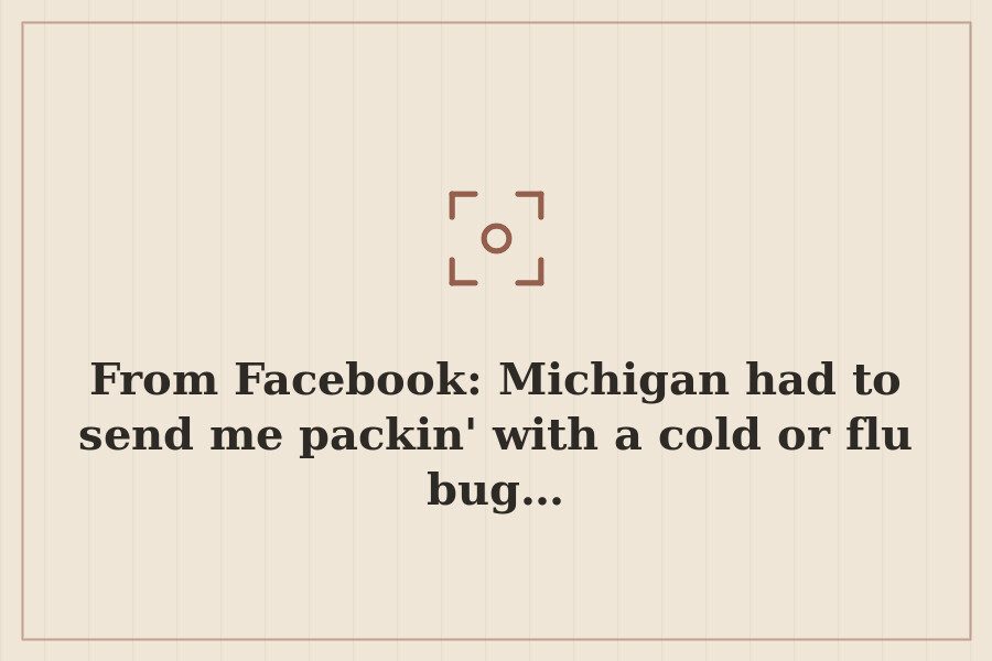 From Facebook: Michigan had to send me packin' with a cold or flu bug… — cover