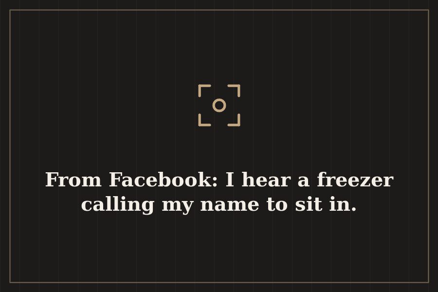 From Facebook: I hear a freezer calling my name to sit in. — cover