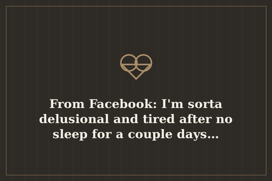 From Facebook: I'm sorta delusional and tired after no sleep for a couple days… — cover