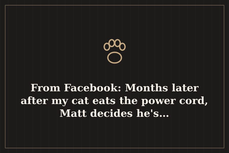 From Facebook: Months later after my cat eats the power cord, Matt decides he's… — cover
