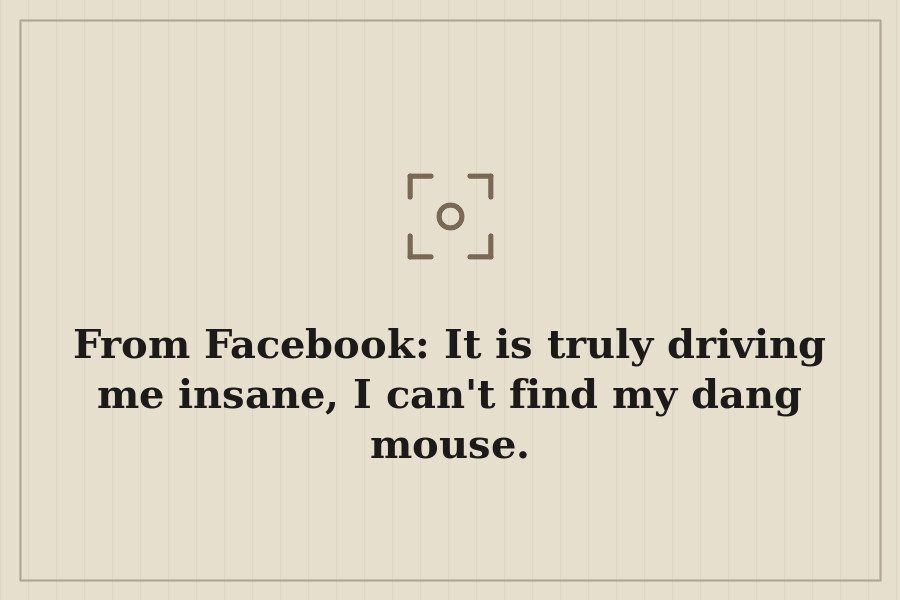 From Facebook: It is truly driving me insane, I can't find my dang mouse. — cover
