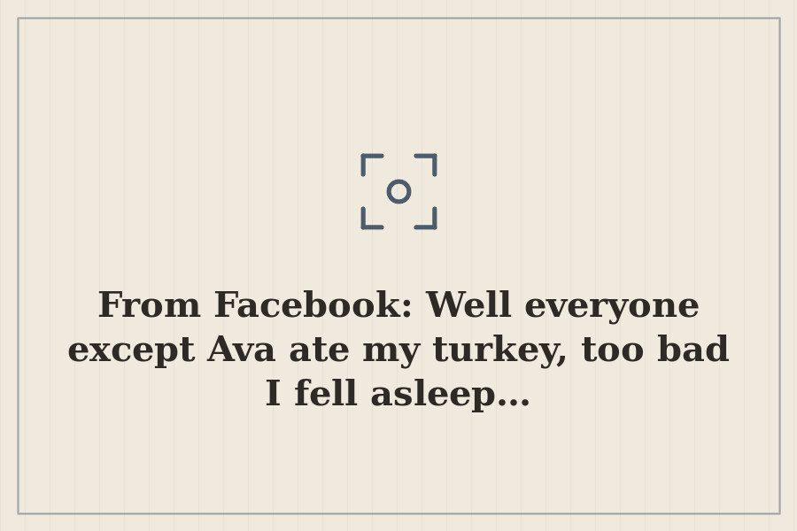 From Facebook: Well everyone except Ava ate my turkey, too bad I fell asleep… — cover