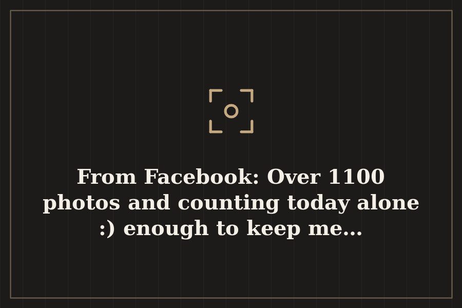 From Facebook: Over 1100 photos and counting today alone :) enough to keep me… — cover