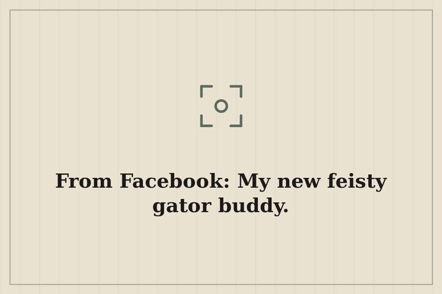 From Facebook: My new feisty gator buddy. — cover