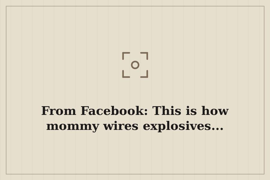 From Facebook: This is how mommy wires explosives... — cover