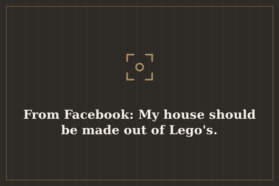 From Facebook: My house should be made out of Lego's. — cover