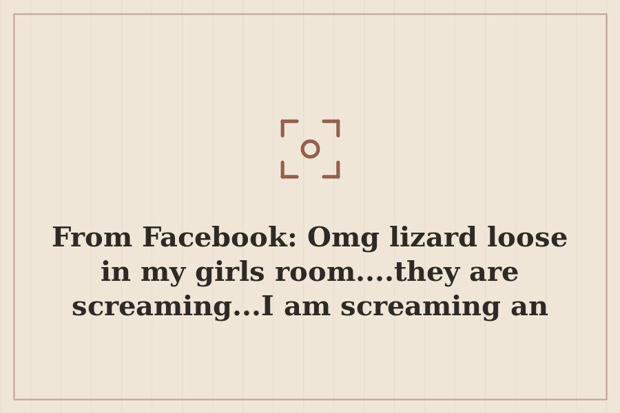 From Facebook: Omg lizard loose in my girls room....they are screaming...I am screaming an — cover