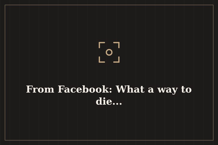 From Facebook: What a way to die... — cover