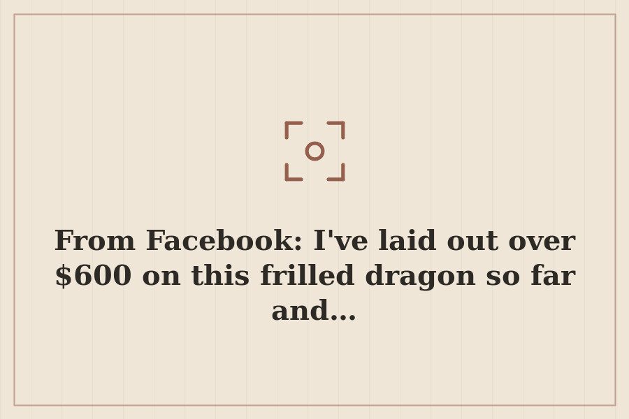 From Facebook: I've laid out over $600 on this frilled dragon so far and… — cover