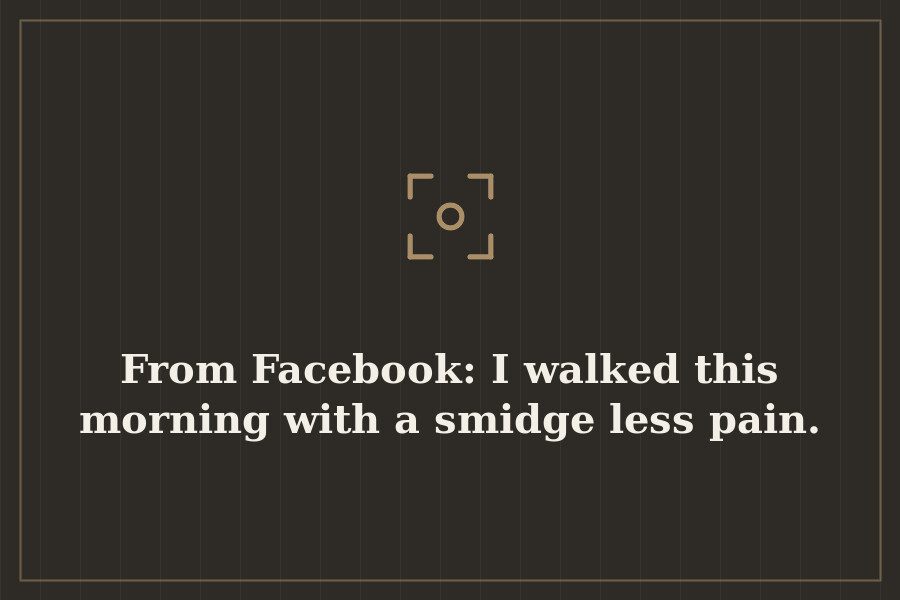 From Facebook: I walked this morning with a smidge less pain. — cover