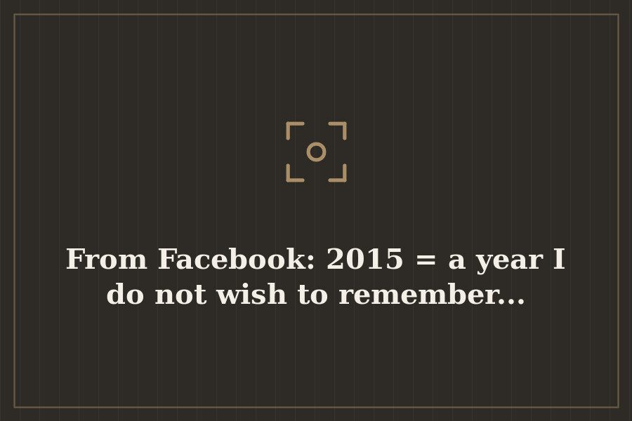 From Facebook: 2015 = a year I do not wish to remember... — cover