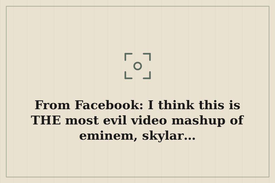 From Facebook: I think this is THE most evil video mashup of eminem, skylar… — cover