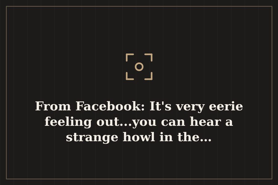 From Facebook: It's very eerie feeling out...you can hear a strange howl in the… — cover