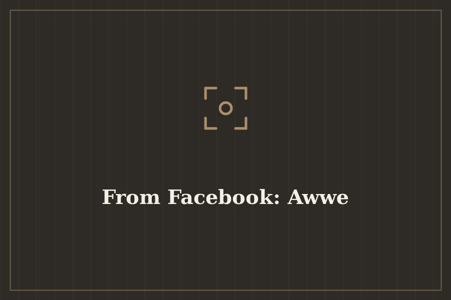 From Facebook: Awwe — cover