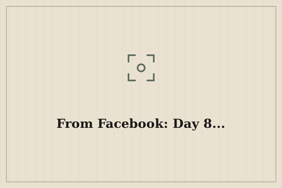 From Facebook: Day 8... — cover