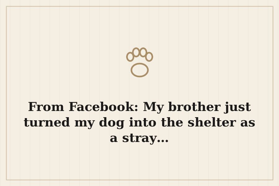 From Facebook: My brother just turned my dog into the shelter as a stray… — cover