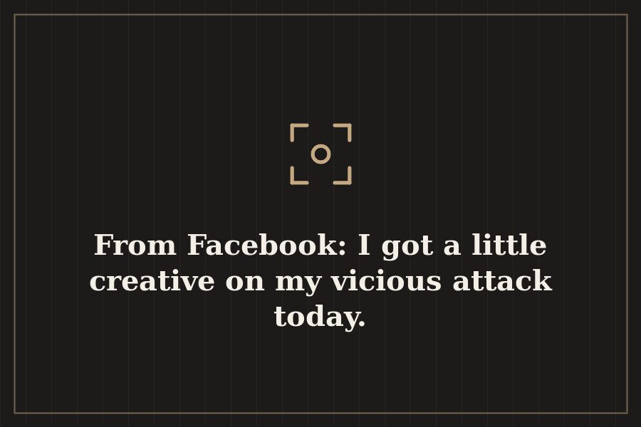 From Facebook: I got a little creative on my vicious attack today. — cover