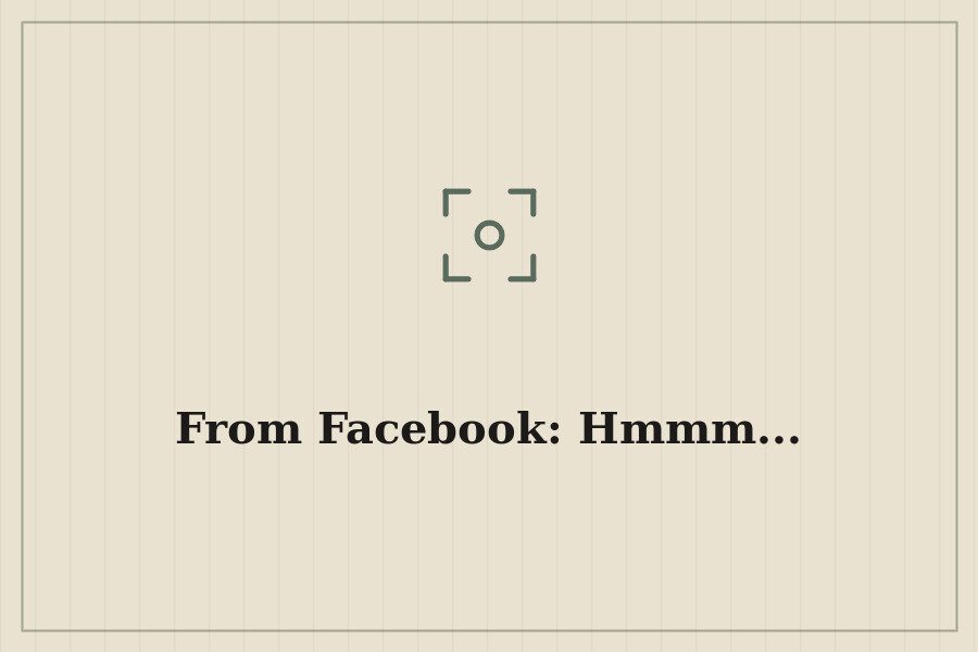 From Facebook: Hmmm... — cover