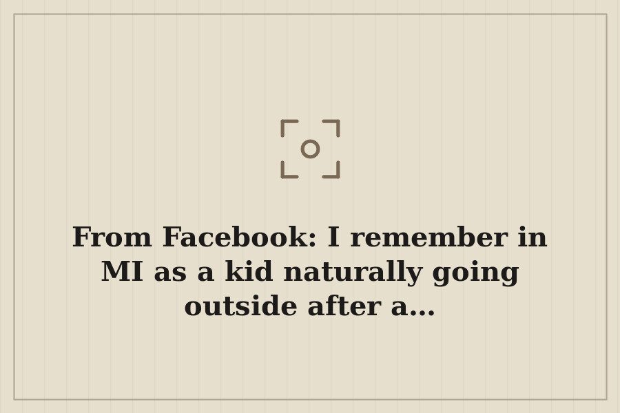 From Facebook: I remember in MI as a kid naturally going outside after a… — cover
