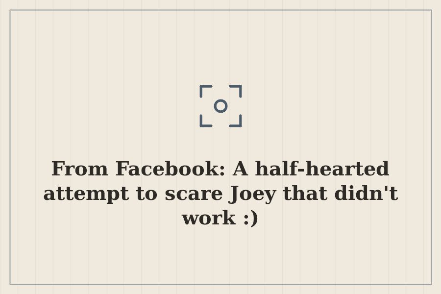 From Facebook: A half hearted attempt to scare Joey that didn't work :) — cover