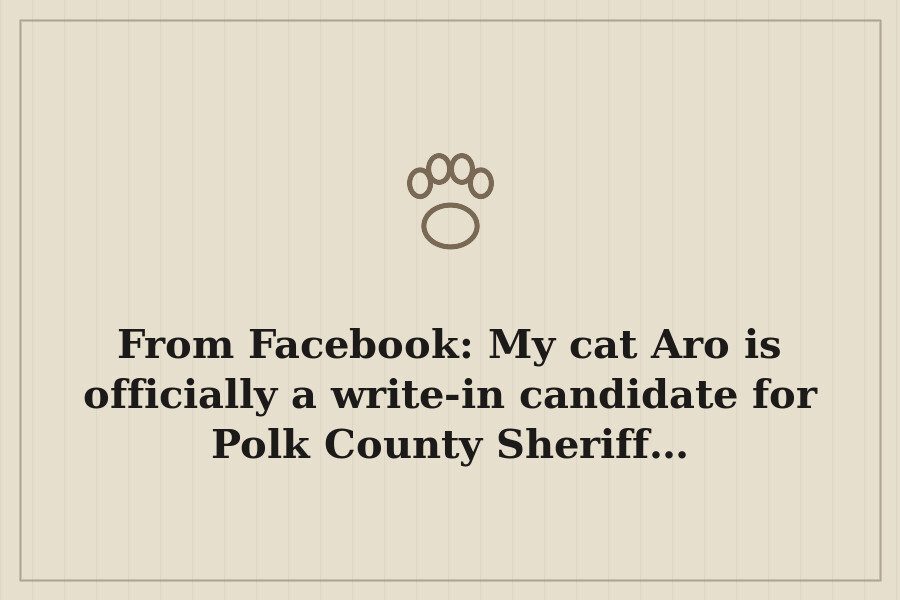 From Facebook: My cat Aro is officially a write in candidate for Polk County Sheriff… — cover