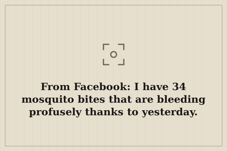 From Facebook: I have 34 mosquito bites that are bleeding profusely thanks to yesterday. — cover