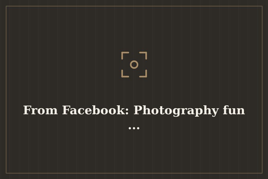From Facebook: Photography fun ... — cover