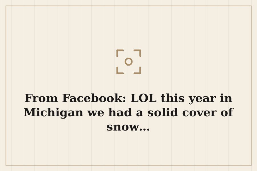 From Facebook: LOL this year in Michigan we had a solid cover of snow… — cover