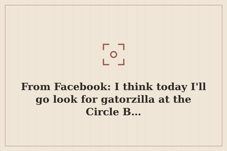 From Facebook: I think today I'll go look for gatorzilla at the Circle B… — cover
