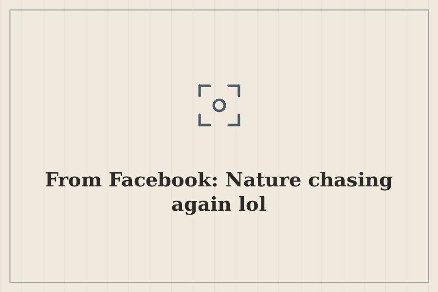 From Facebook: Nature chasing again lol — cover