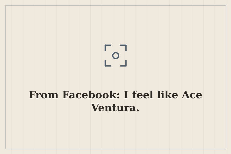 From Facebook: I feel like Ace Ventura. — cover