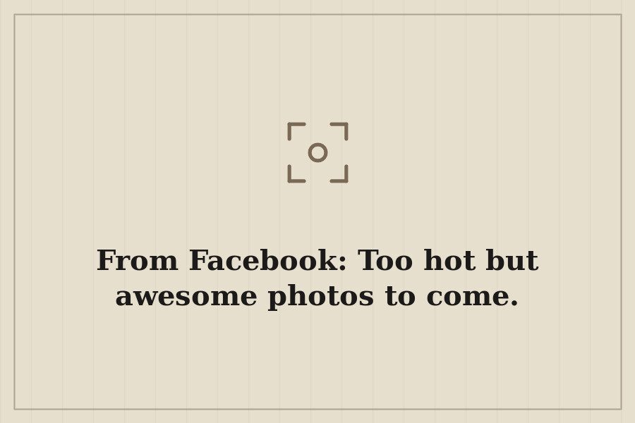 From Facebook: Too hot but awesome photos to come. — cover