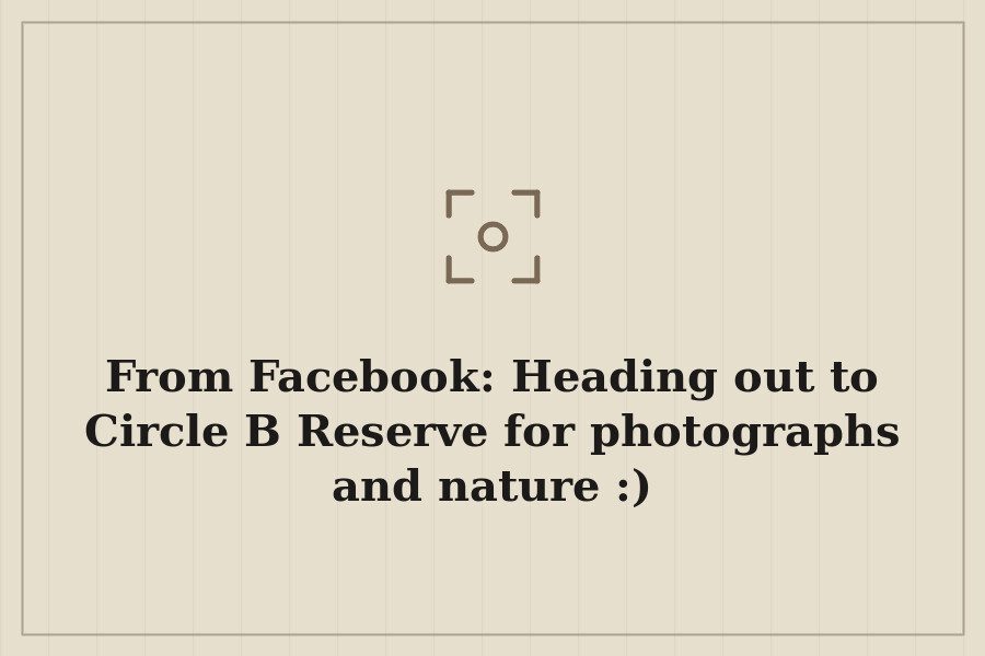 From Facebook: Heading out to Circle B Reserve for photographs and nature :) — cover