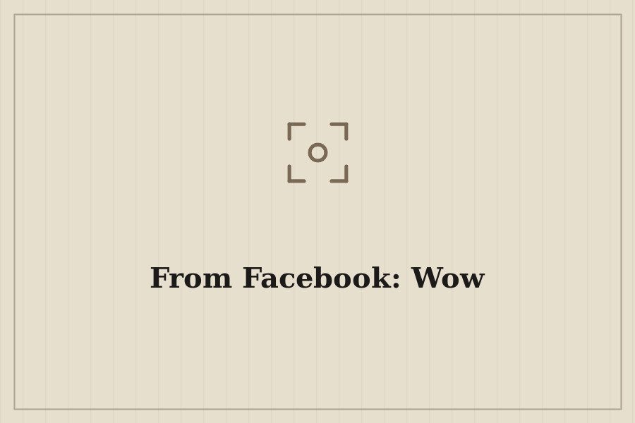 From Facebook: Wow — cover