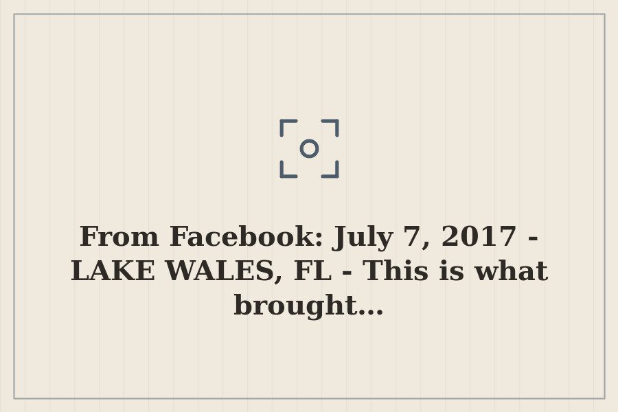 From Facebook: July 7, 2017 LAKE WALES, FL This is what brought… — cover