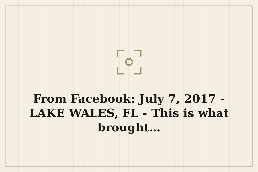 From Facebook: July 7, 2017 LAKE WALES, FL This is what brought… — cover