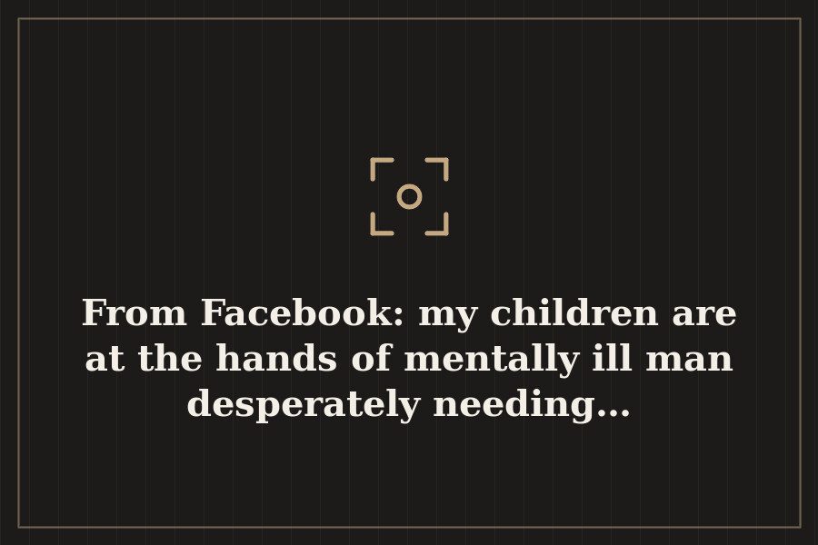 From Facebook: my children are at the hands of mentally ill man desperately needing… — cover