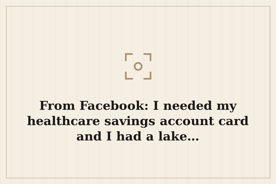 From Facebook: I needed my healthcare savings account card and I had a lake… — cover