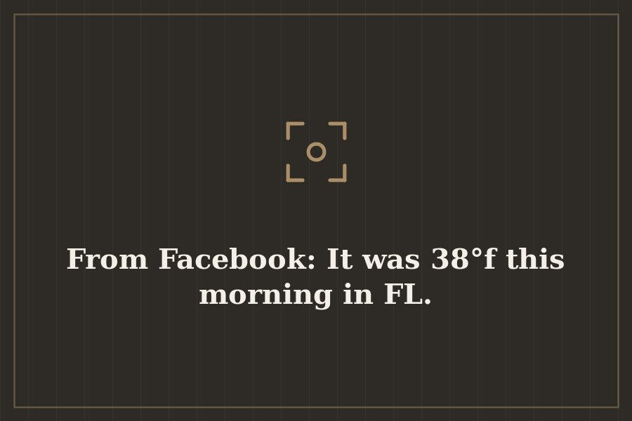 From Facebook: It was 38°f this morning in FL. — cover