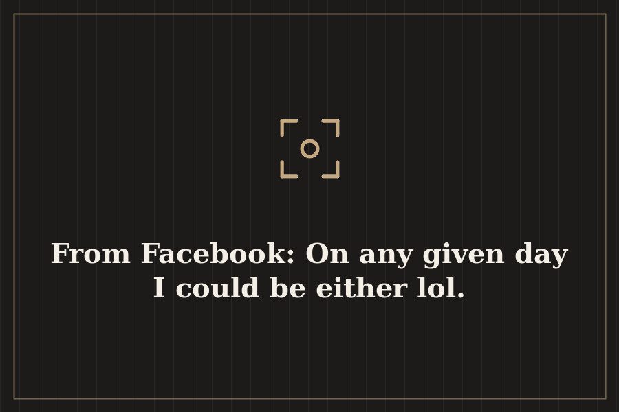 From Facebook: On any given day I could be either lol. — cover