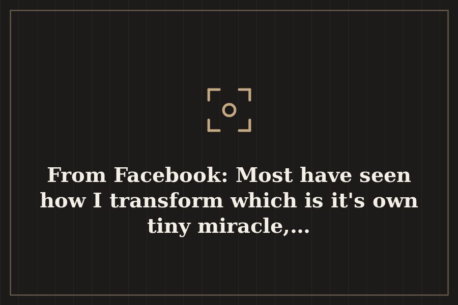 From Facebook: Most have seen how I transform which is it's own tiny miracle,… — cover
