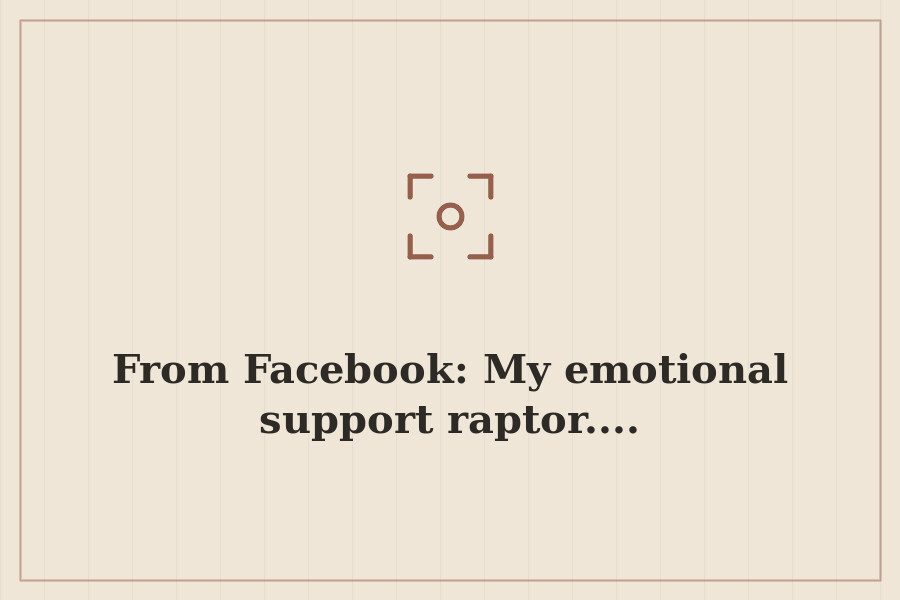 From Facebook: My emotional support raptor.... — cover
