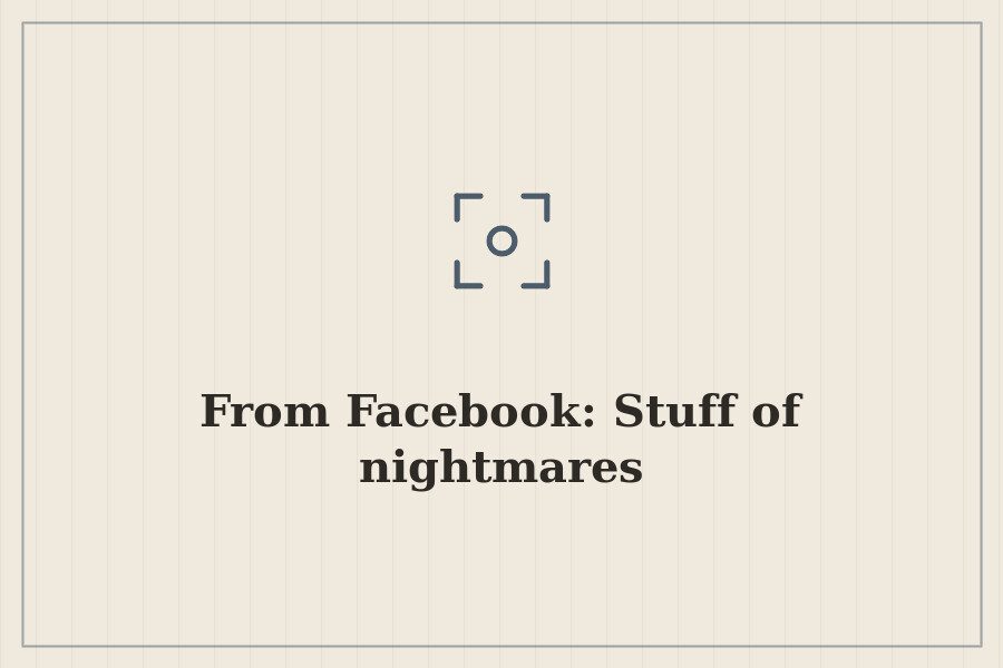 From Facebook: Stuff of nightmares — cover